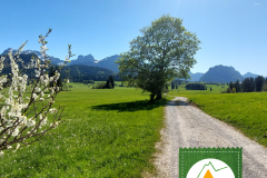 Maifeiertag