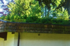 ungepflegter Kurpark