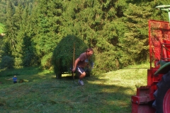 aktive Landschaftspflege