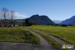 geplanter Stadelbau bei der Bläsismühle