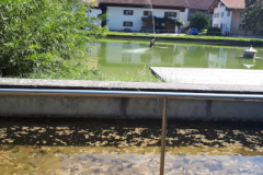 Tretbecken am Dorfer Weiher