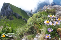 Gruß vom Aggenstein