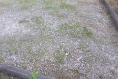 Muss der Kurpark in die Kur?