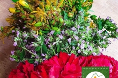 Mariä-Himmelfahrt (15.  August)