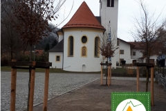 neue Bäume am Leonhardsplatz