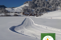Loipen und Winterwanderwege top präpariert