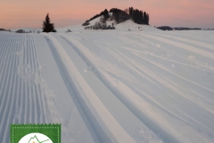 Beste Wintersportbedingungen in Pfronten