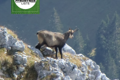 Aktion "Dein Freiraum - mein-Lebensraum"