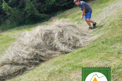 Wieshoibe im Achtal (Scheaneoibe)