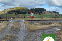 Bahnübergang am Weg durch die Viehweidteile (Pfr.-Weißbach)