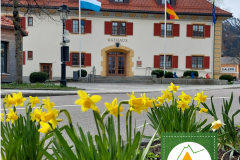 gelungene Frühjahrsbepflanzung